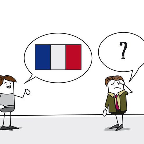 Translating French: Challenges and Tools for Accurate Communication